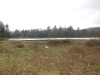 Beaver Pond